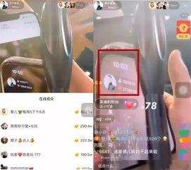 吴迪爆料仙家视频大全最新,仙家视频大全最新爆料,带你一探究竟