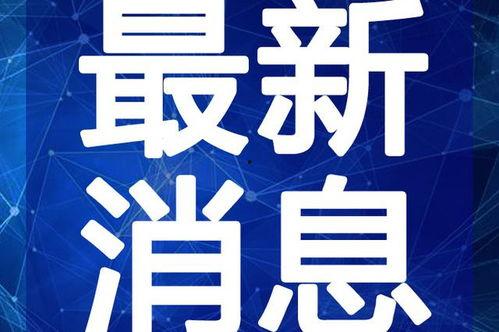 百豪最新爆料新闻视频,揭秘神秘项目,行业动态再掀波澜